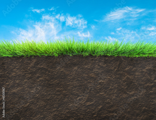 Photography grass and soil