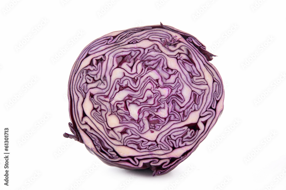 isolated red cabbage isolated red cabbage