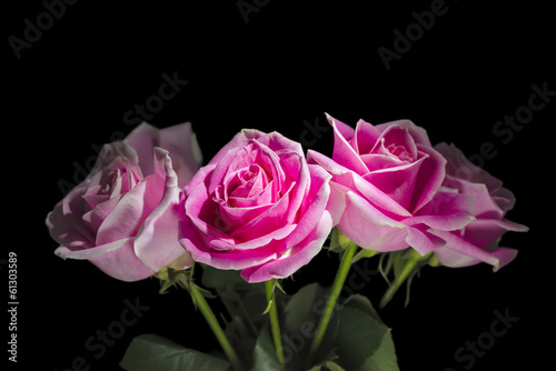 Four Long-stem Roses