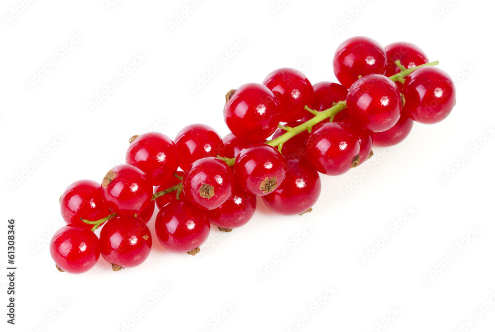 Fresh red currant berries fruit over white background Fresh red currant berries fruit over white background