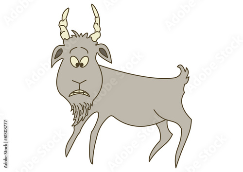 Sad grey goat