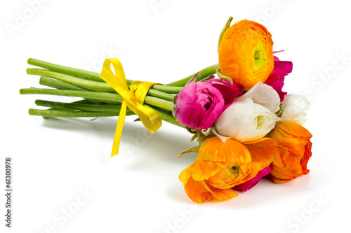 Fototapeta Naklejka Na Ścianę i Meble -  colorful ranunculus flowers isolated on white