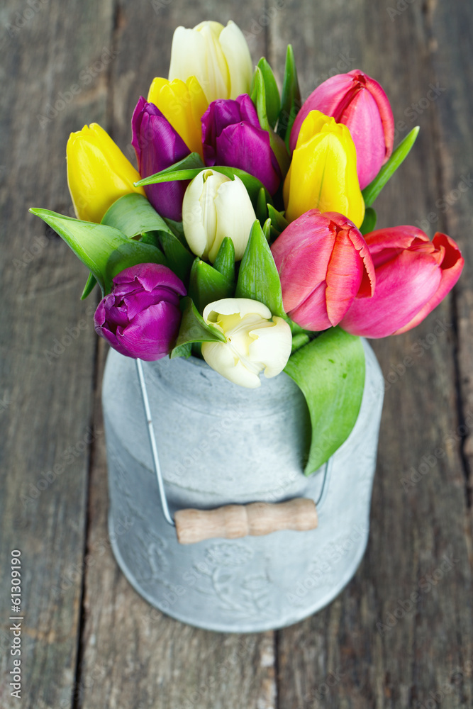 tulips in a milk can on wooden surface