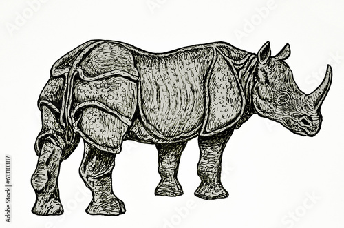 disegno a mano libera di rinoceronte indiano