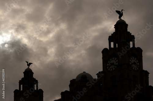 Liver Buildings silhouette against moonlit sky