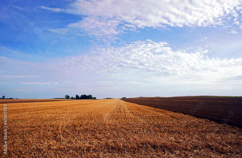 Field after harvest in summer in Poland