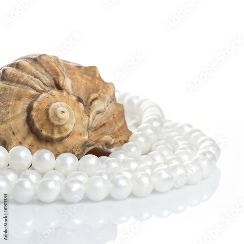 Seashell and pearl necklace