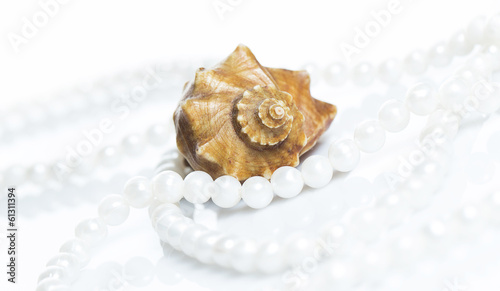 Seashell and pearl necklace