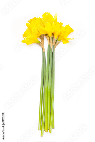 Fototapeta Naklejka Na Ścianę i Meble -  Bunch of daffodil's isolated on a white studio background.