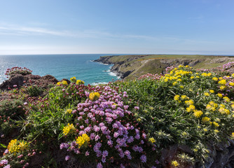 Keuken achterwand Kust Kustpad bij Bedruthan in Cornwall  © annacurnow