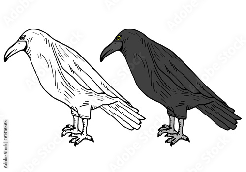 Colorable bird