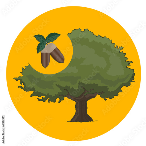 Icon oak