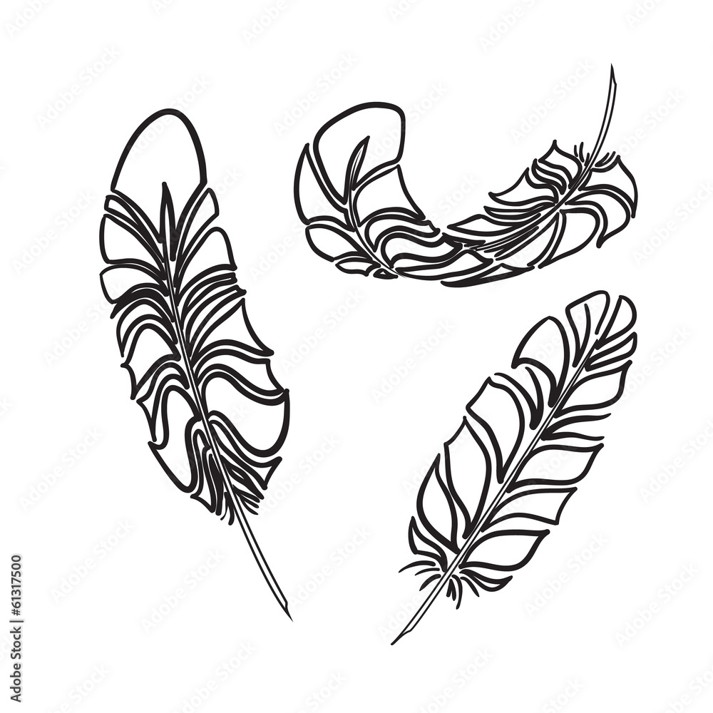Obraz premium Feathers sketch style. Vector illustration