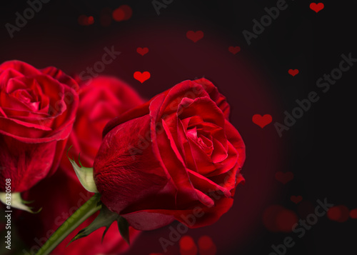 Obraz na płótnie Red roses w salonie