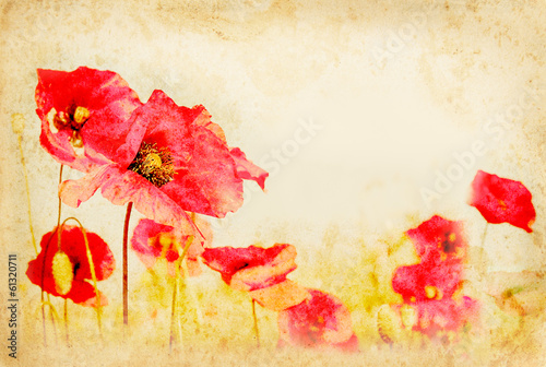 Red poppy flowers on vintage paper.