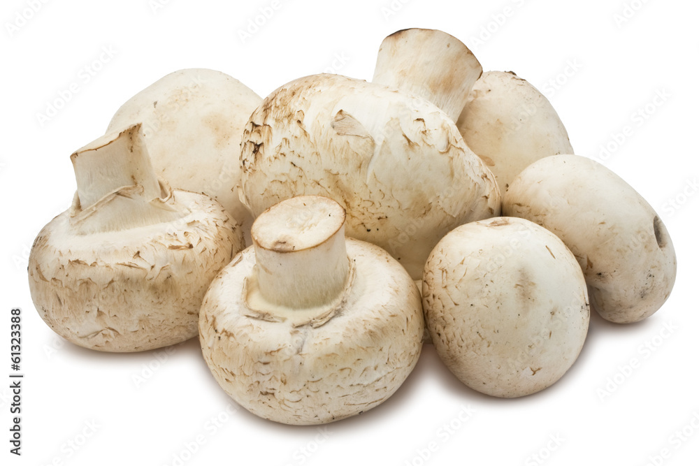 Champignon mushrooms