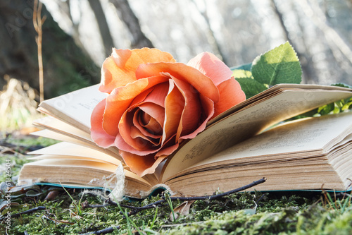 book and rose