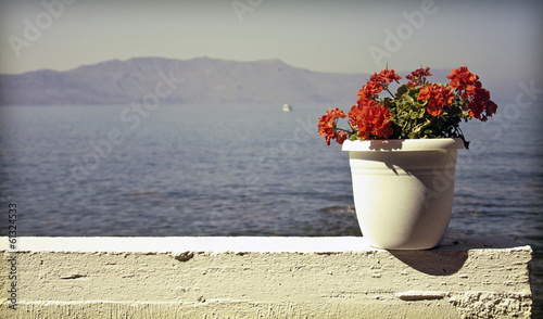 Red flower with blue sea background with copy
