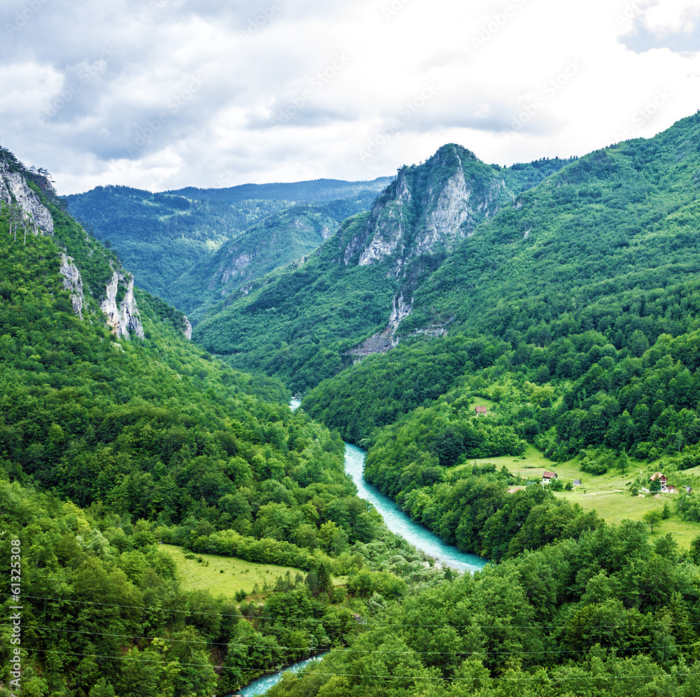 Mountain river Tara, Durmitor, Montenegro