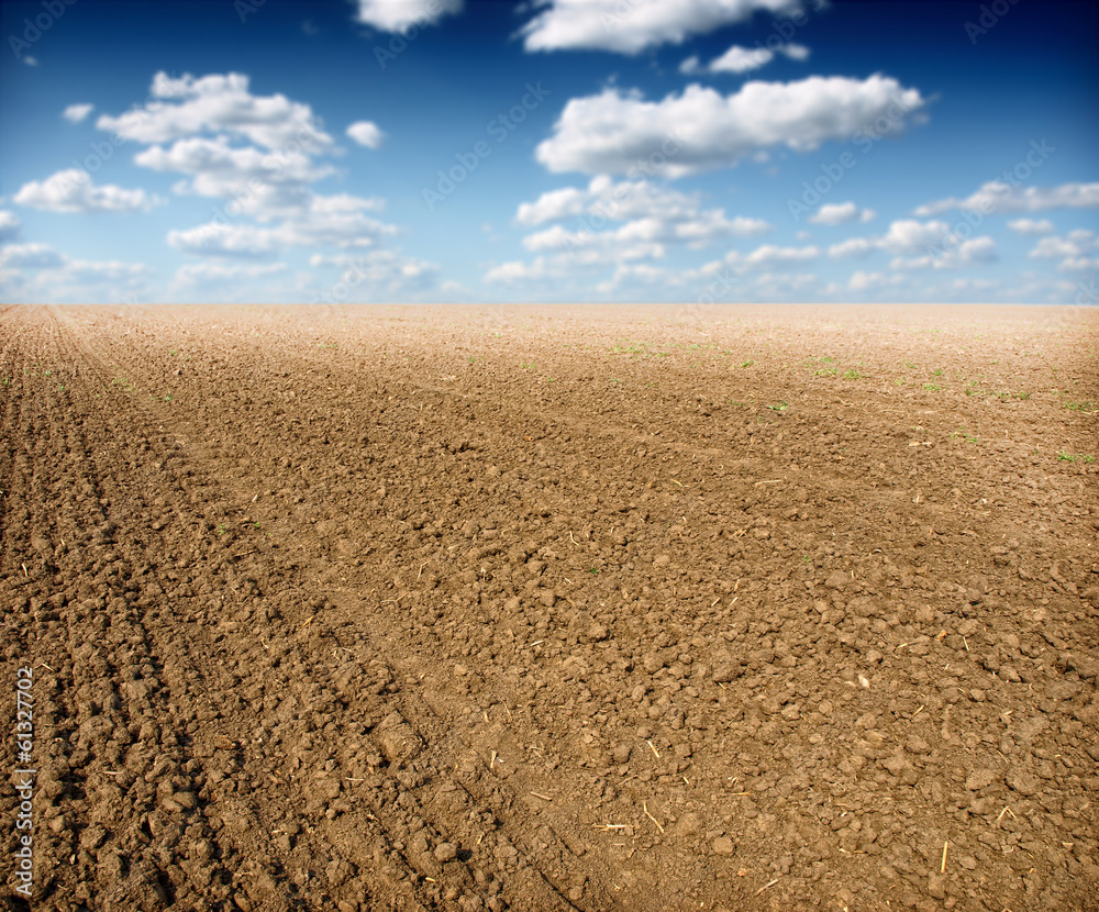 ploughed field