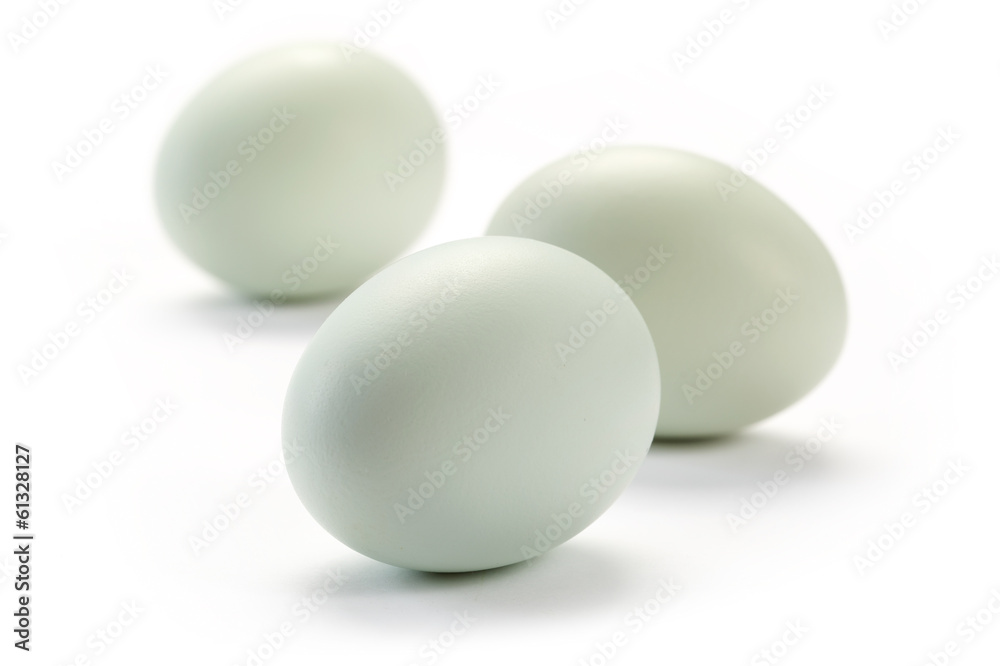 Eggs on white background