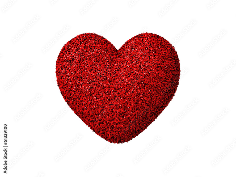 red heart with thorns