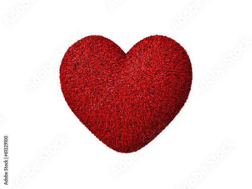 red heart with thorns