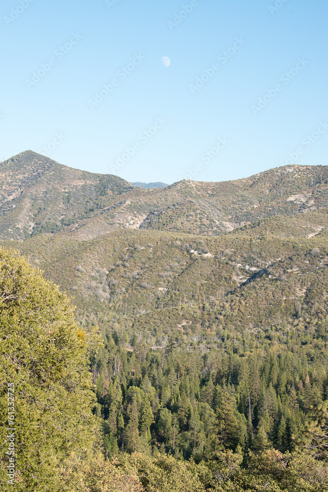 Obraz premium Sequoia National Forest