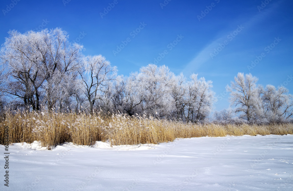 Winter landscape with trees and frozen river
