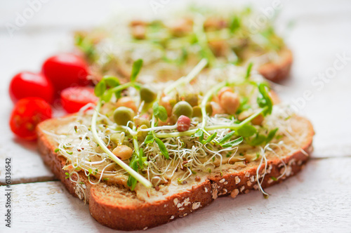 Healthy vegetarian sandwich with whole grain bread,alfalfa,hummu