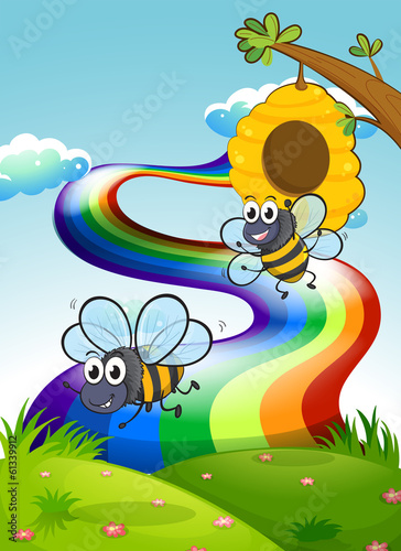 Two bees at the hilltop and a rainbow in the sky