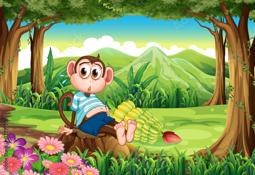 A bloated monkey at the forest