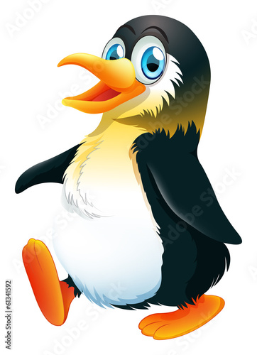 A penguin walking