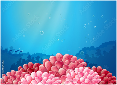 Pink corals under the sea