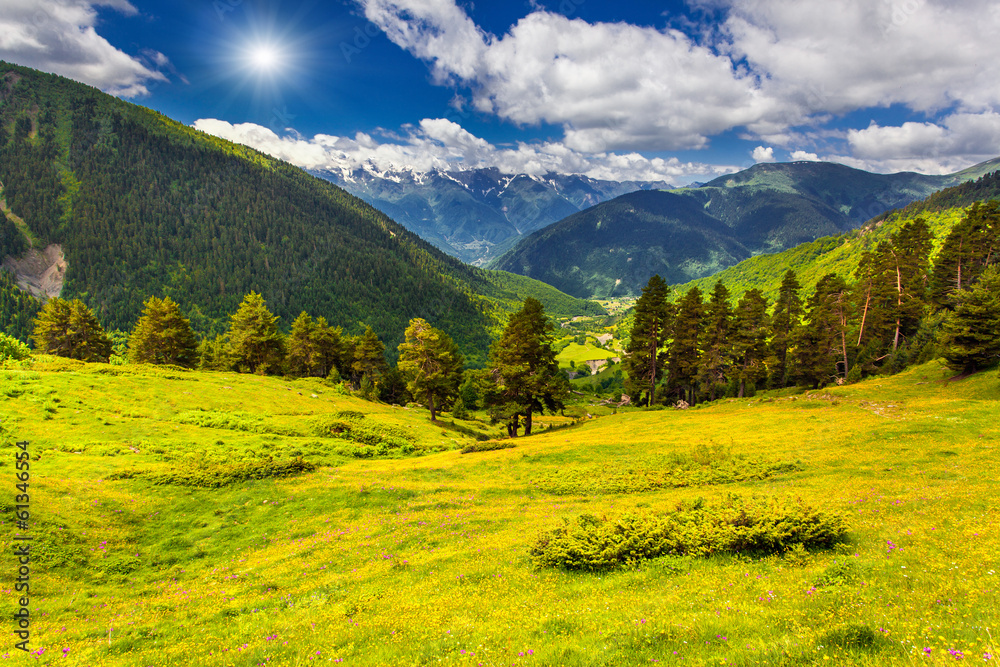 Colorful summer landscape in the Caucasus mountains.