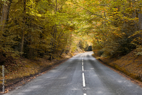 Autumn road