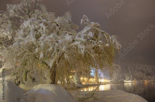 Snowbound tree on the bank of Lake Bled in Winter snowy night