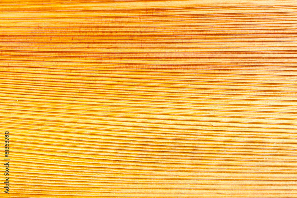 gaine foliaire de palmier gaine foliaire de palmier
