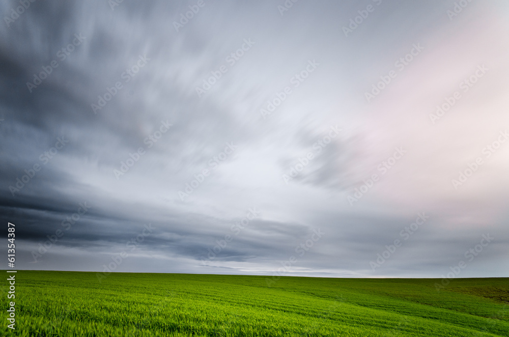 Albero singolo su prato verde con cielo nuvoloso Albero singolo su prato verde con cielo nuvoloso