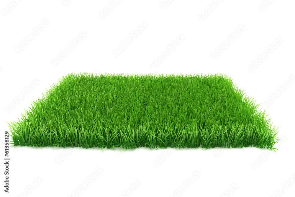 Obraz premium 3d grass on white background
