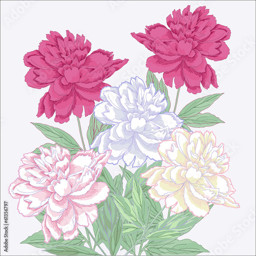 Bouquet with white and pink peonies.Vector illustration © Natalia Piacheva