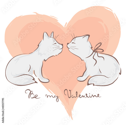 Lovers cats