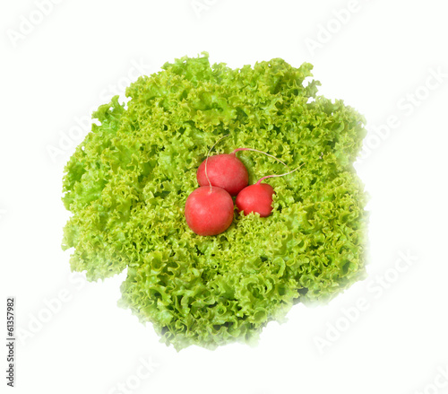 Three radish in lettuce leaves