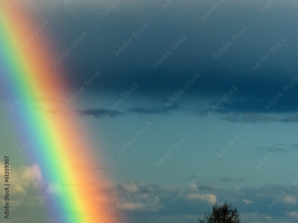 Fototapeta premium Regenbogen
