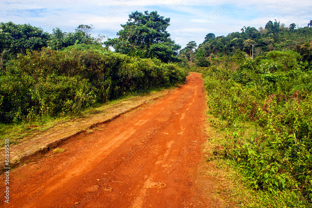 Road on Bolaven plateau in Laos