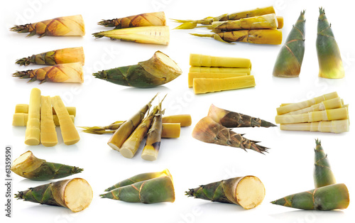 bamboo shoot isolated on white background