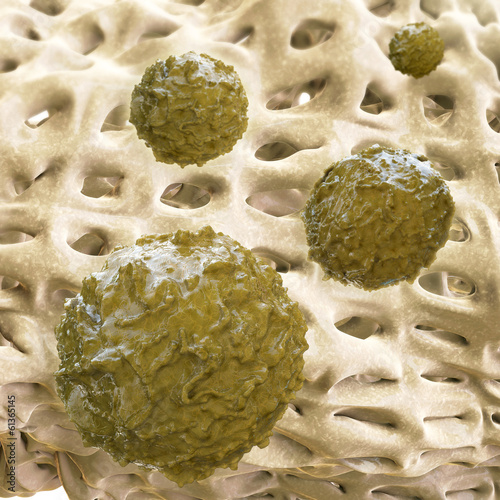 Stammzellen - 3d Render