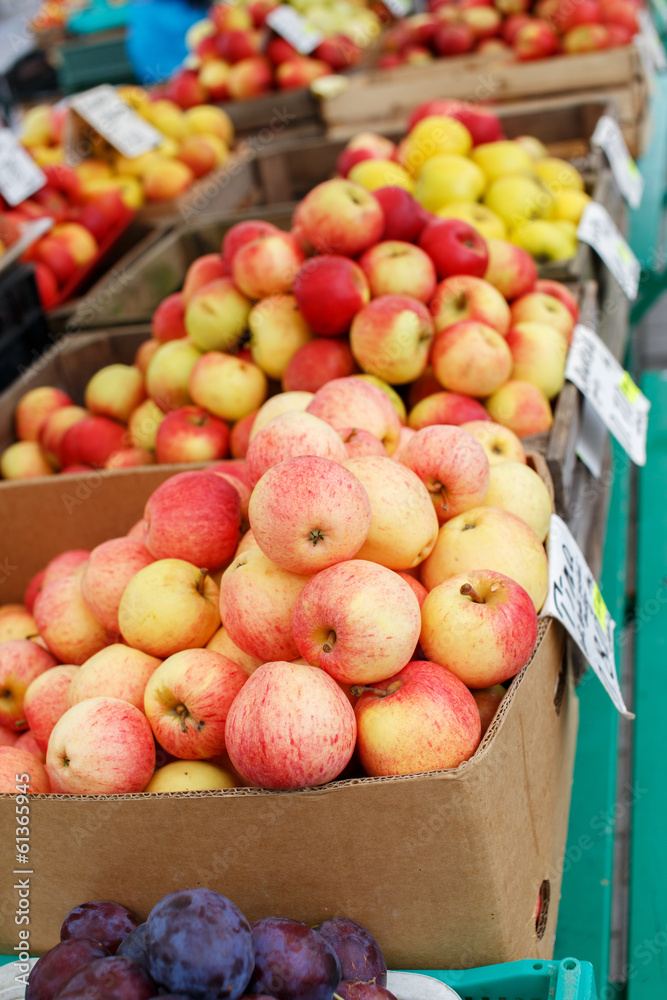 Red and yellow apples in cardboard boxes Red and yellow apples in cardboard boxes