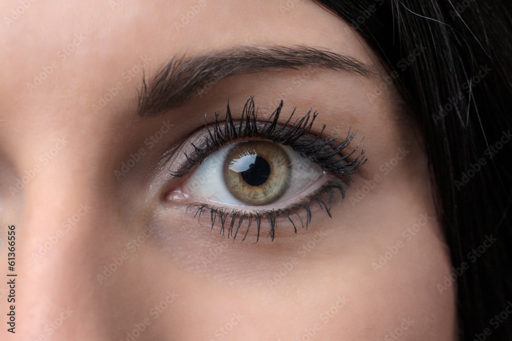 female eye female eye