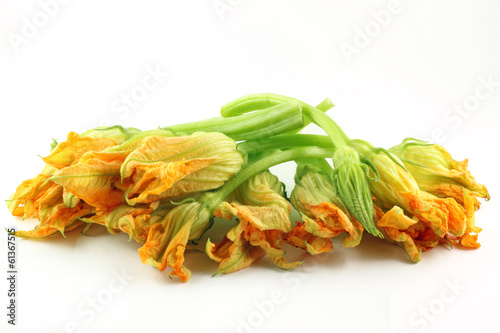 Fiori di zucchine isolate su sfondo bianco